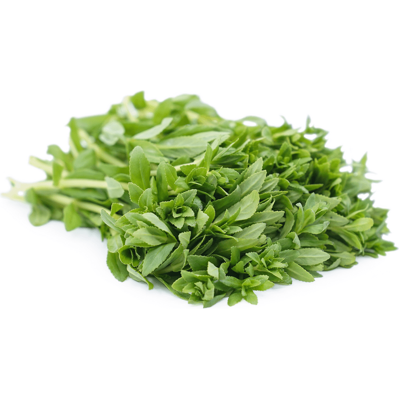 Fresh Rice Paddy Herb/ Ngò Ôm 100g