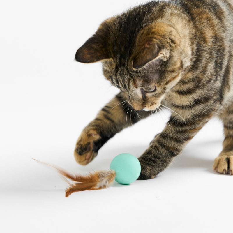 pidan Cat Toy Bouncy Ball & Feather Set (3-Pack)
