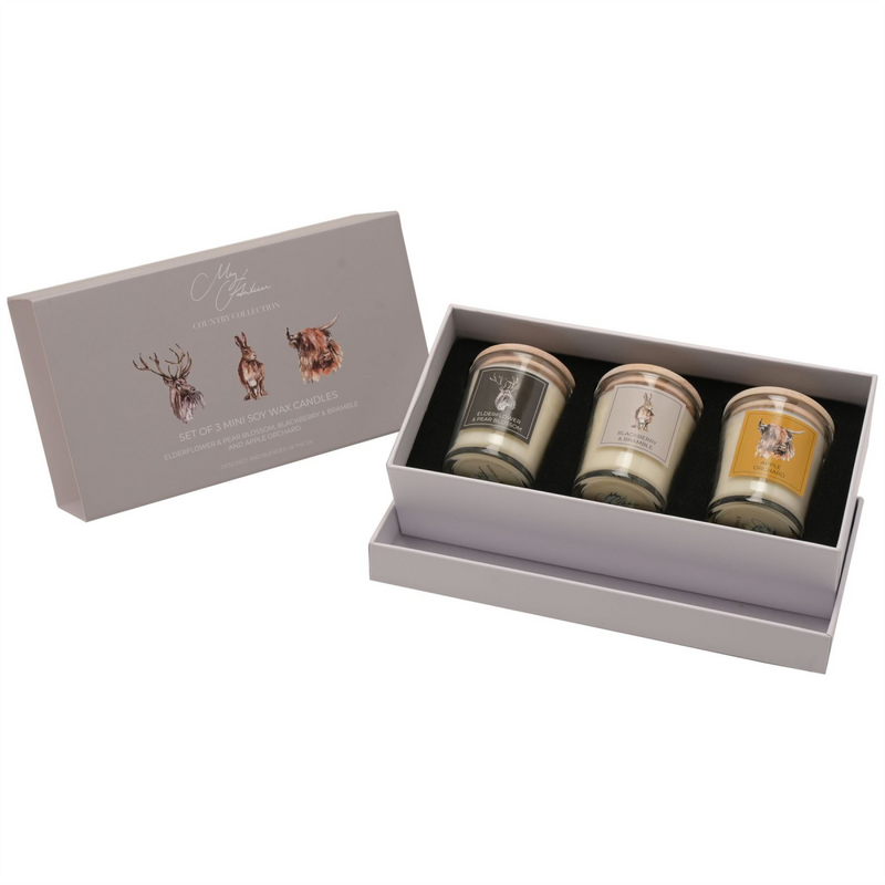 Meg Hawkins "Favourites" Set of 3 Mini Candles 70g