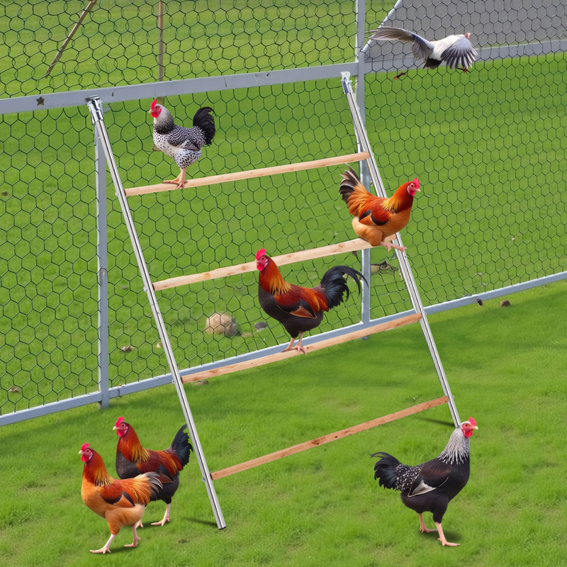 104*143cm  Outdoor chicken perch