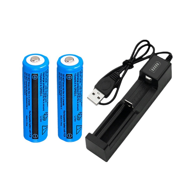 4pcs 3000mAh 18650 Rechargeable Batteries+2x USB Battery Charger Set For Fashlight headlamp