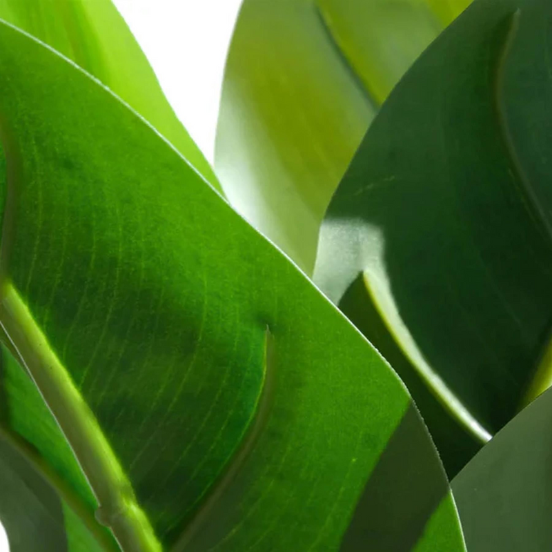 Pack of 6 x 45cm Artificial Aureum Plant