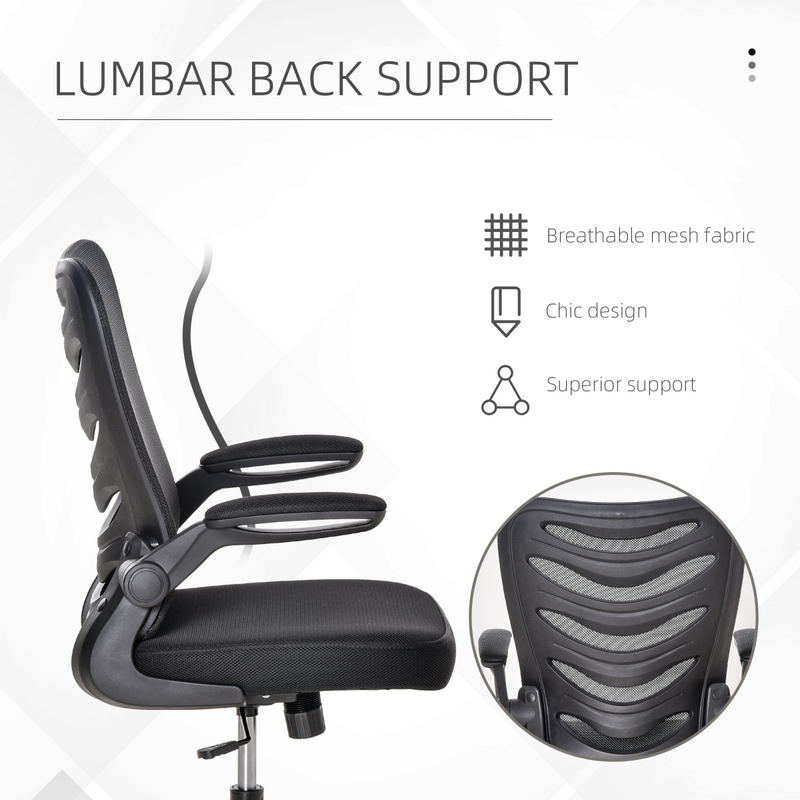 Mesh Office Chair Home Swivel Task Chair  Lumbar Support, Arm, Black Vinsetto