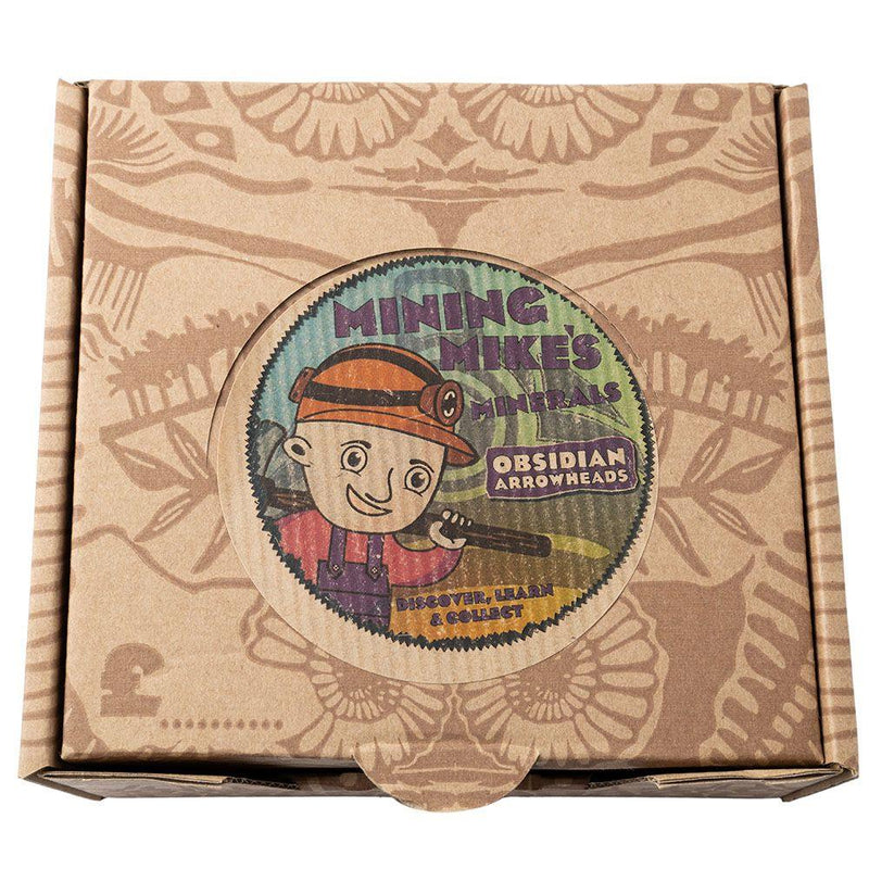 Obsidian Arrowhead Natural Volcanic Glass Collectible Crystal