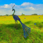 71CM METAL PEACOCK - InStock