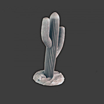 Desert Cactus 1