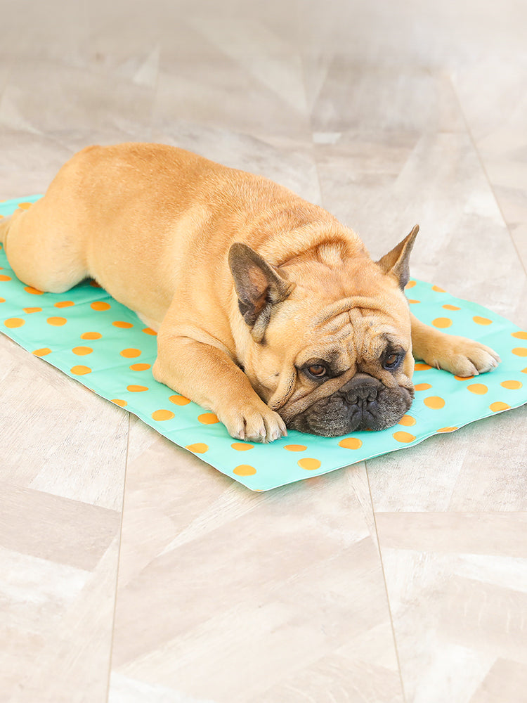 Pet gel ice pad