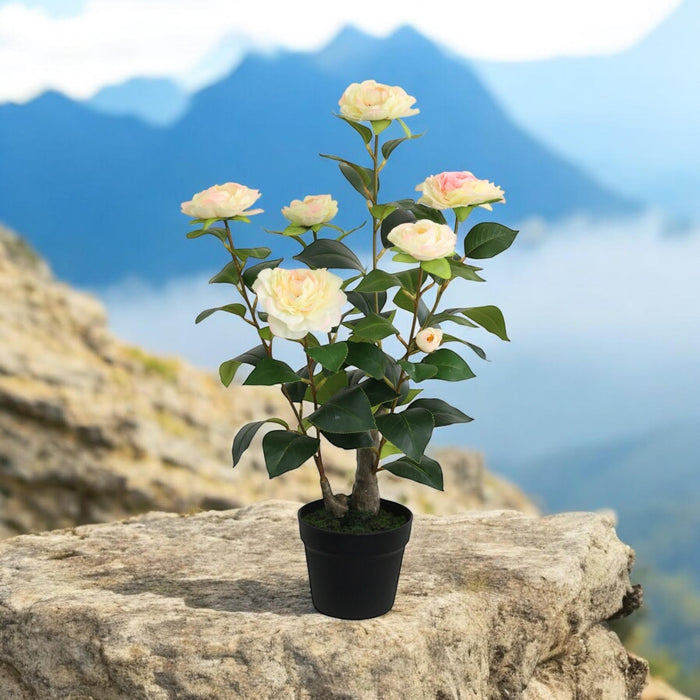 58CM ARTIFICIAL CAMELLIA PLANT