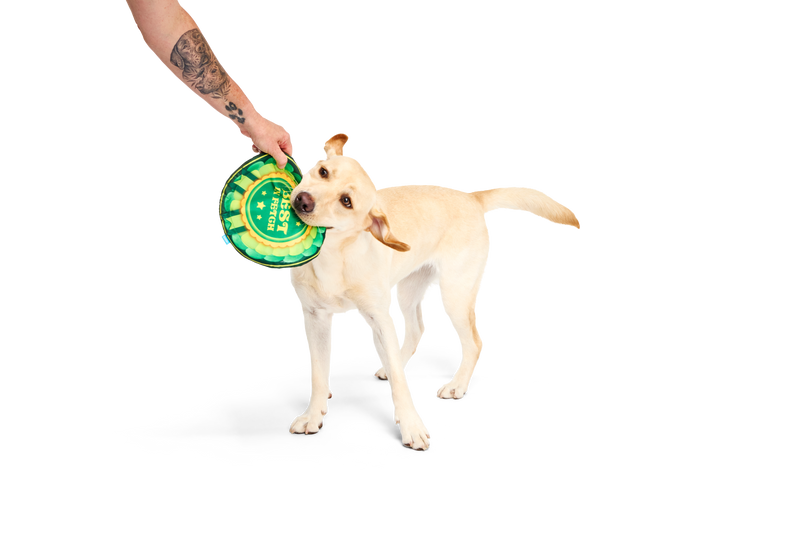 Bark Crufts Throwsette Disc