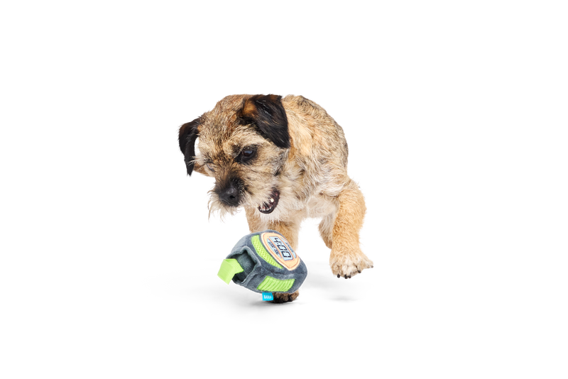 Bark Crufts Personal Beast Play Timer