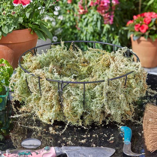 New Zealand Jumbo Sphagnum Moss - Pack of 2