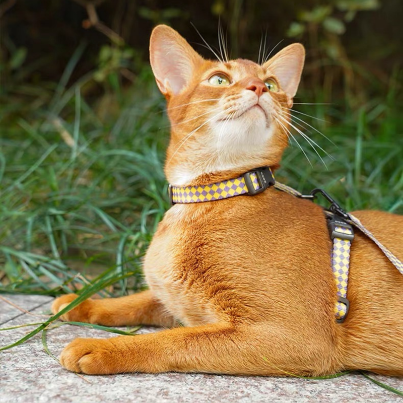 zeze Plaid Cat Harness & Leash Set