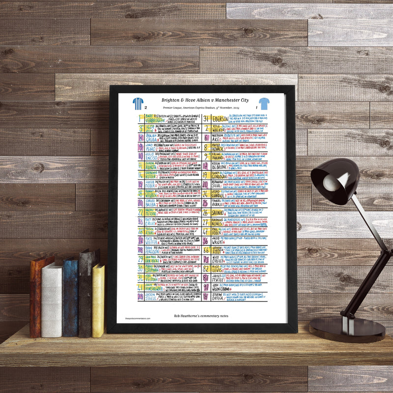 Brighton v Manchester City, Premier League 2024 - Hawthorne