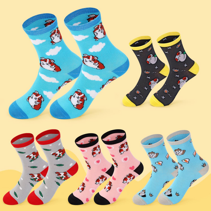 VINSANI GUINEA PIG SOCKS 5pk 1010415