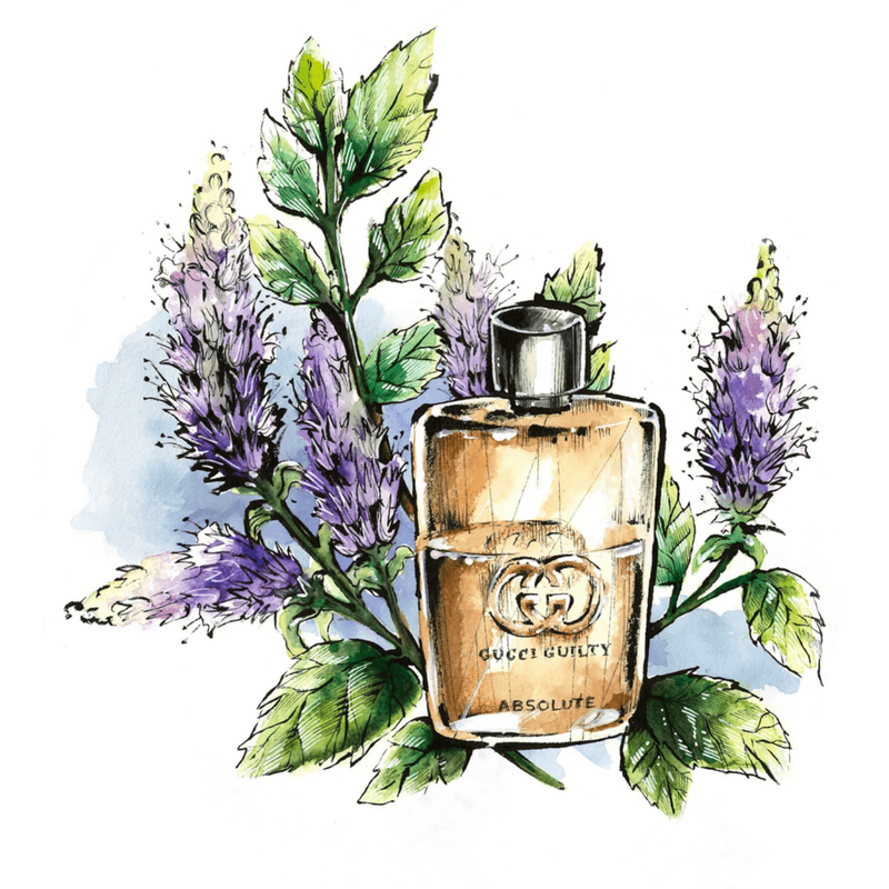 Gucci Guilty Absolute Eau De Parfum Spray 90ml