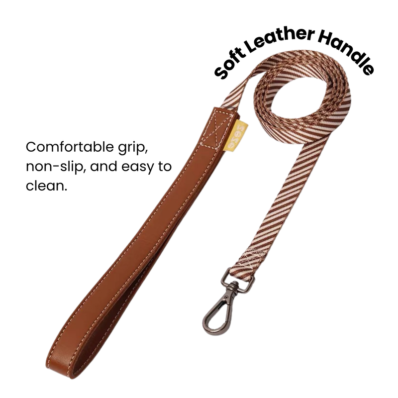 zeze Pet Leash & Harness Set