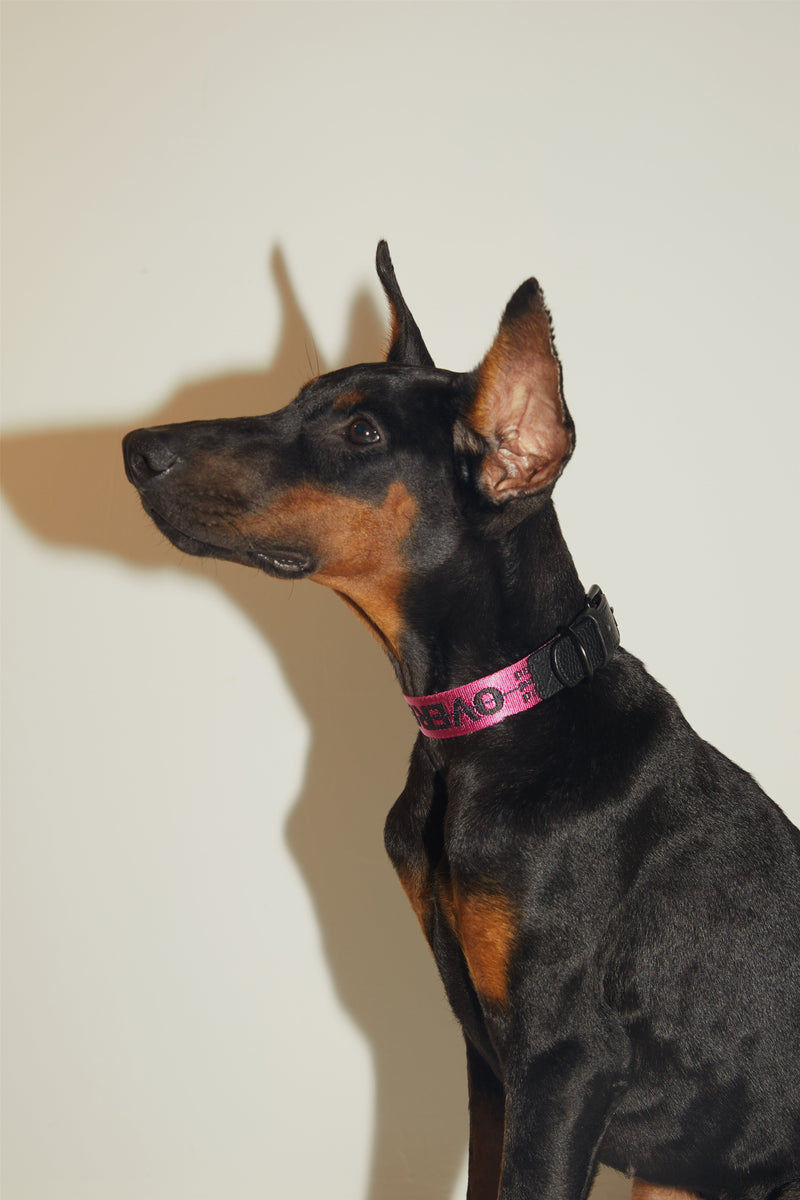 Overglam Ribbon Collar with Leather