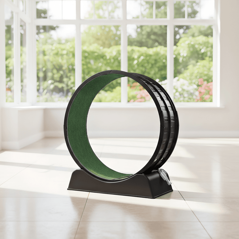 80*34*86CM Black PP track connector assembly, round shape with green carpet + 1 cat teaser stick, 15kg cat treadmill - InStock