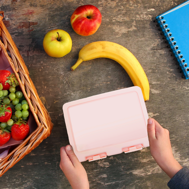 Pink 2 Section Lunch Box | Grub Tub