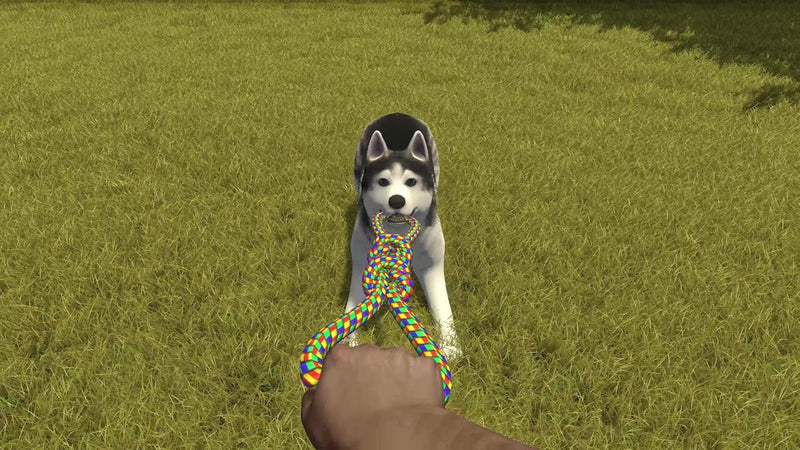 House Flipper – Pets Edition – Nintendo Switch