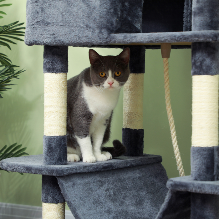 PawHut 206cm Cat Tree with Scratching Posts, Beds, Condos, Toys, Dark Grey