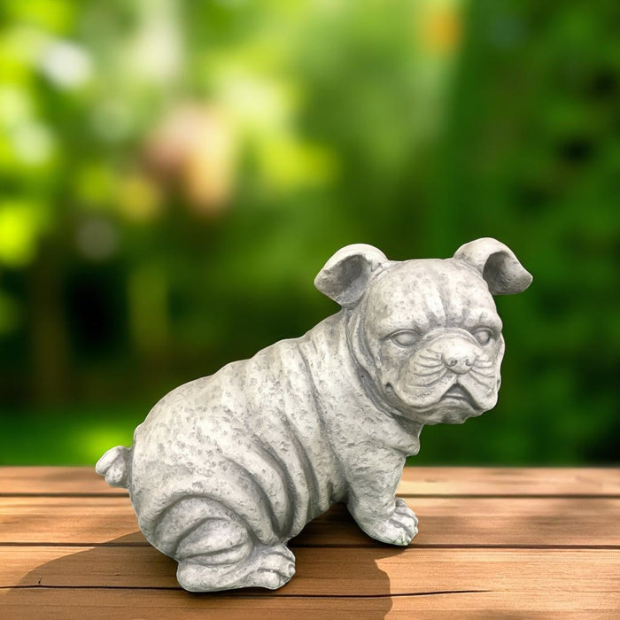 39X20X26CM SITTING BULLDOG