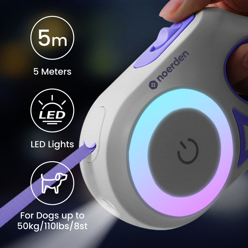 Flexi Leash (LED Retractable Leash)