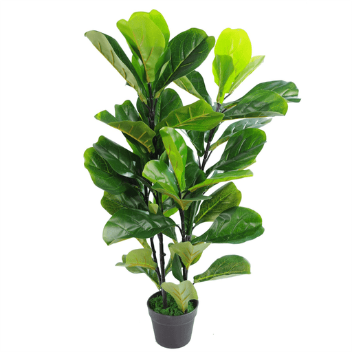 90cm (3ft) Large Artificial Fiddle Fig Tree Ficus Lyrata Plant - InStock