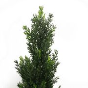 90cm Artificial Cedar Cypress Topiary UV Resistant - InStock