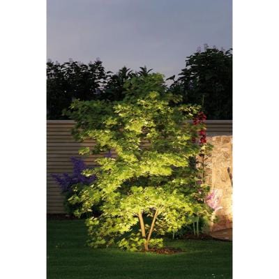 Outdoor Plug & Shine LED Garden Spotlight Sting Set