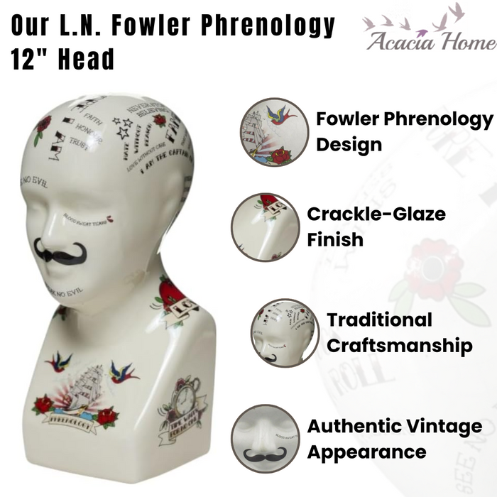 12" PHRENOLOGY HEAD