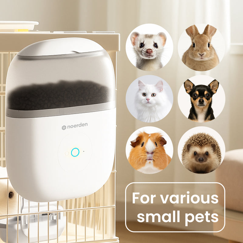 Hoppy (Small animal feeder)