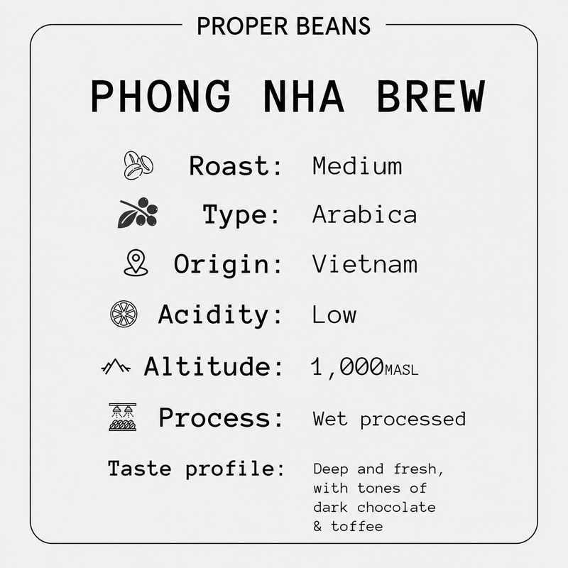 Phong Nha Brew