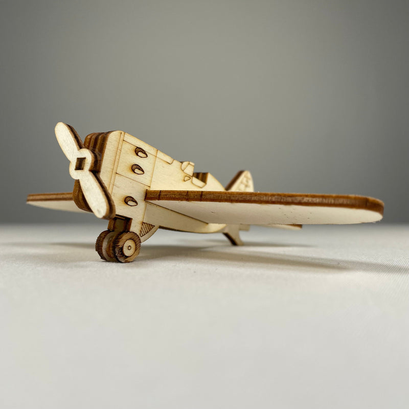Plane Decoration - Handmade Ornament
