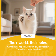https://avasamnew.s3.amazonaws.com/product/GB010126/S0671739421/9.png