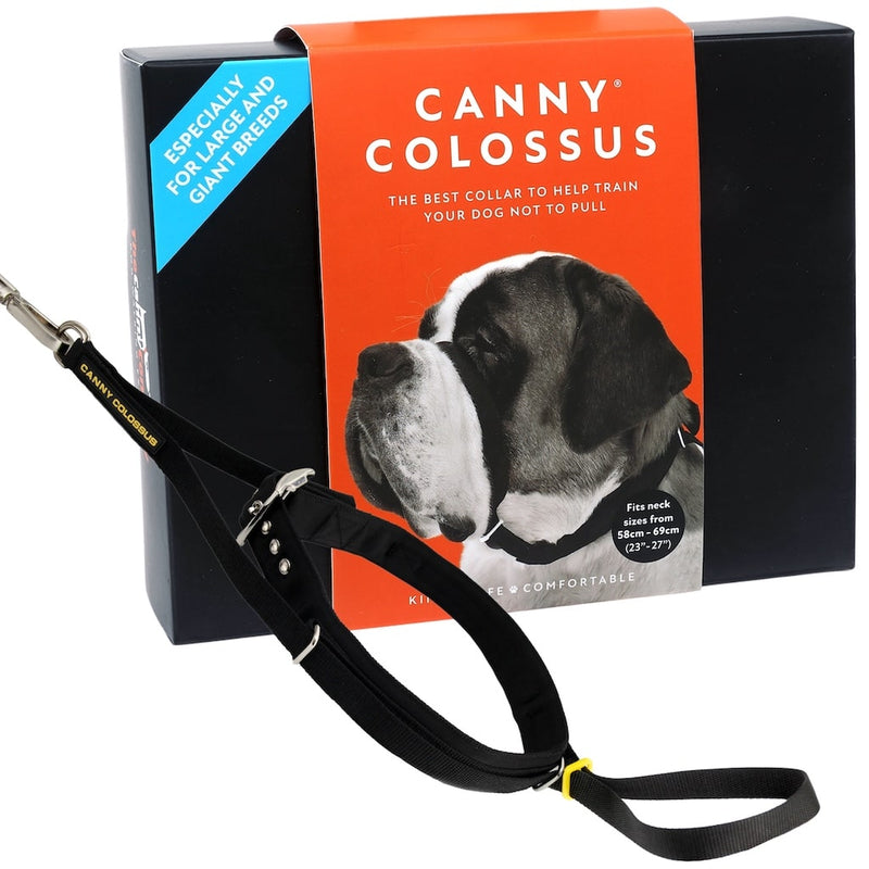 Canny Colossus