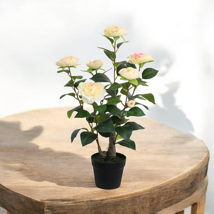 58CM ARTIFICIAL CAMELLIA PLANT