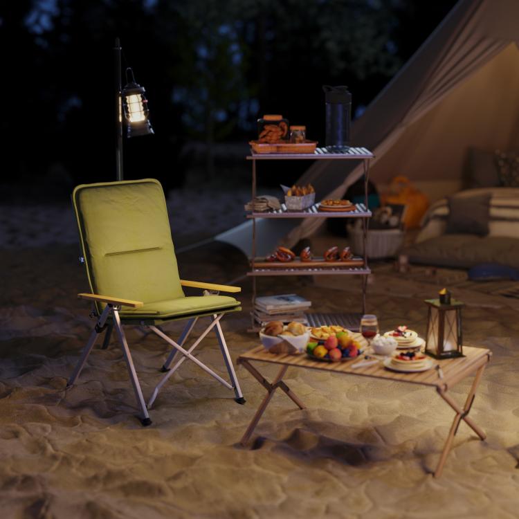 Portable Padded Camping Chair, with Bag - Green