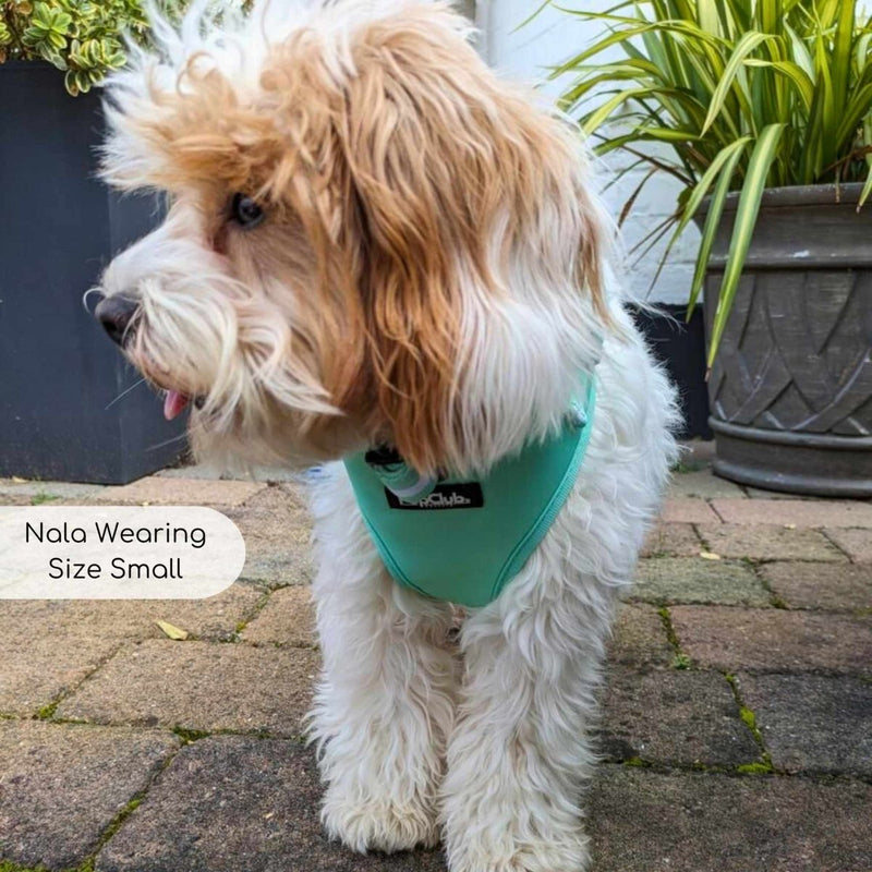 PupClub Dog Adjustable Harness - Pastel Mint Green