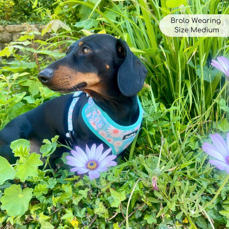 PupClub Dog Adjustable Harness - Pastel Daisy