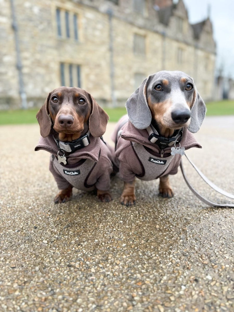 PupClub Dog Lead - Tweed Brown