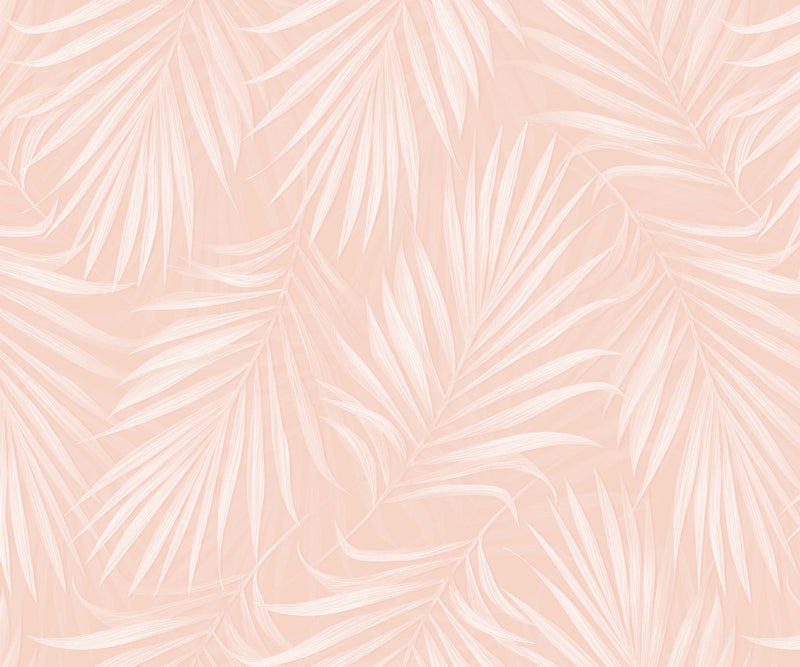 Areca