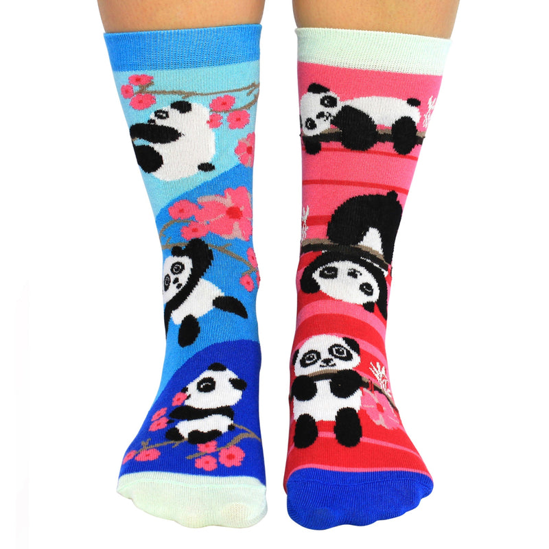 6 Pack Ladies Bamboo Panda Design Odd Socks in Gift Box
