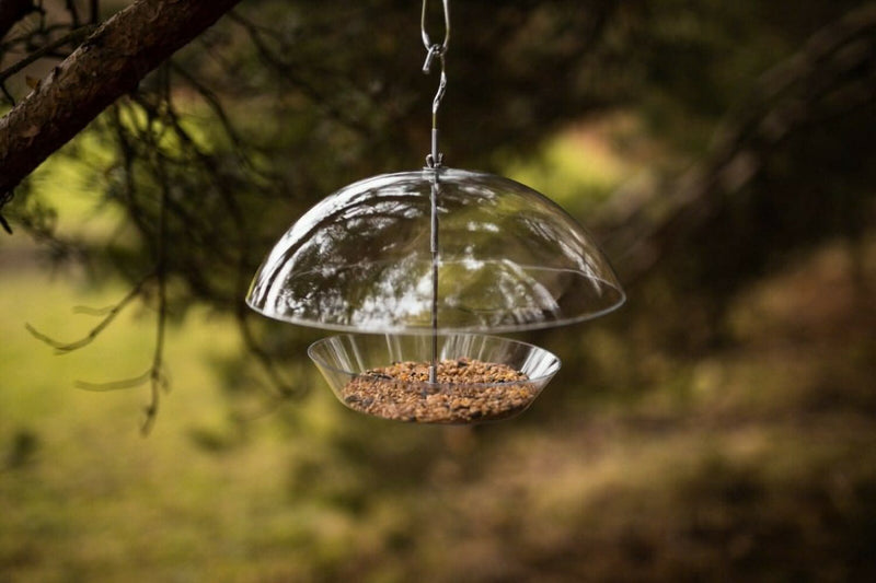 Hanging Dome Bird Feeder