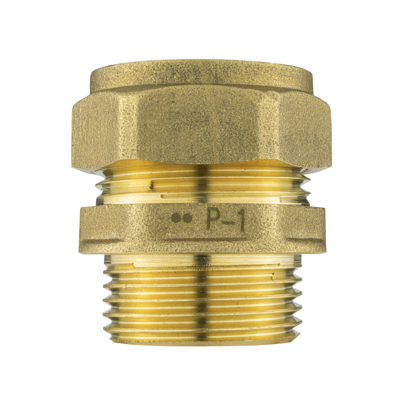 Brass Compression 22mm Straight with 25mm MDPE Straight