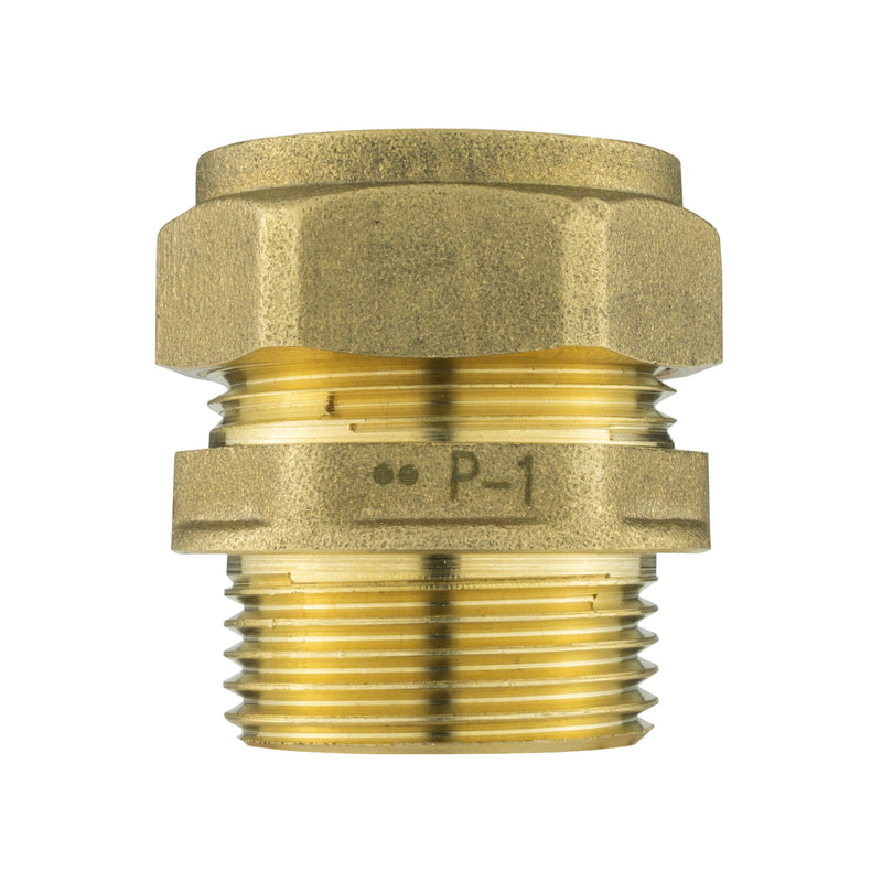 IBC 2” S60X6 Cap with Brass Compression Straight ¾” BSP – 22mm