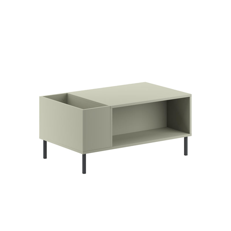 Vena Modern Coffee Table Ash Green 100 x 60 cm