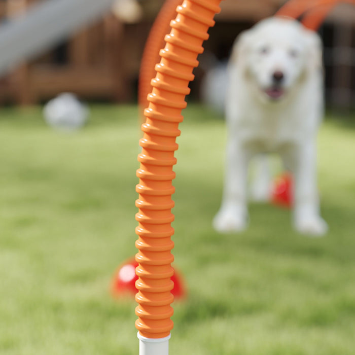 PawHut 4 Piece Dog Agility Training Equipment with Carry Bag, Orange