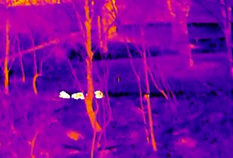 Thermal Master DV2 Thermal Camera Touchscreen