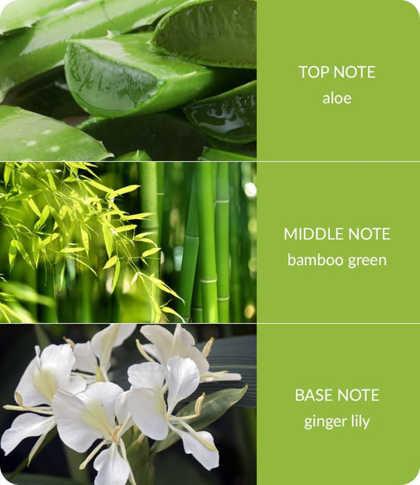 Bamboo & Ginger Lily Fragrance Diffuser -140ml - Up to 16 Weeks of Fragrance